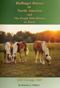 Image of Haflinger Horses in North America and the People Who Belong to Them: 1958-1999