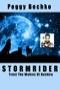 Image of Stormrider