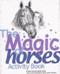 Image of The Magic of Horses  Activity Book.