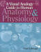 Image of A Visual Analogy Guide to Human Anatomy & Physiology