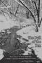 Image of Pull of the Pen : black spaces to snow diamonds, a widow's journey through reflective poetry