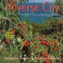 Image of Traverse City and the Beautiful Surrounding Area