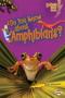 Image of Meet the Animal Groups (Series)