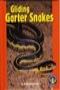 Image of Gliding Garter Snakes: Pull Ahead Books