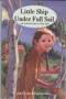 Image of Little Ship Under Full Sail: An Adventure in History