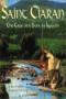 Image of Saint Ciaran : the tale of a saint of Ireland 