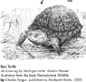 Image of Wildlife of Pennsylvania and the Northeast / Charles Fergus